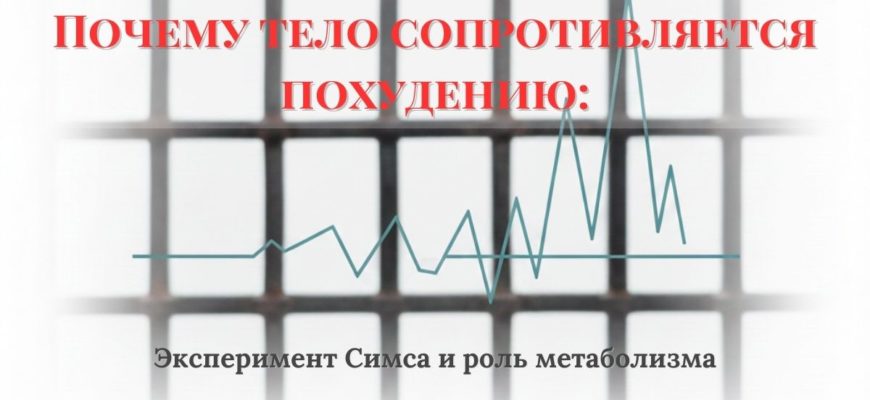 Схематичная визуализация метаболизма: размытая тюремная решётка как метафора экспериментa Симса, на переднем плане простой график метаболического отклика и заголовок о том, почему тело сопротивляется снижению веса.